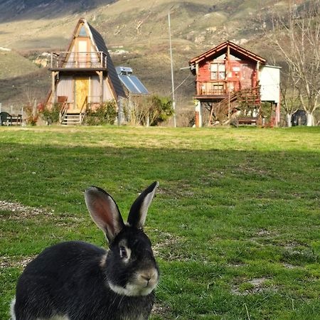 Life On The Farm Hotell Nepravishte Exteriör bild