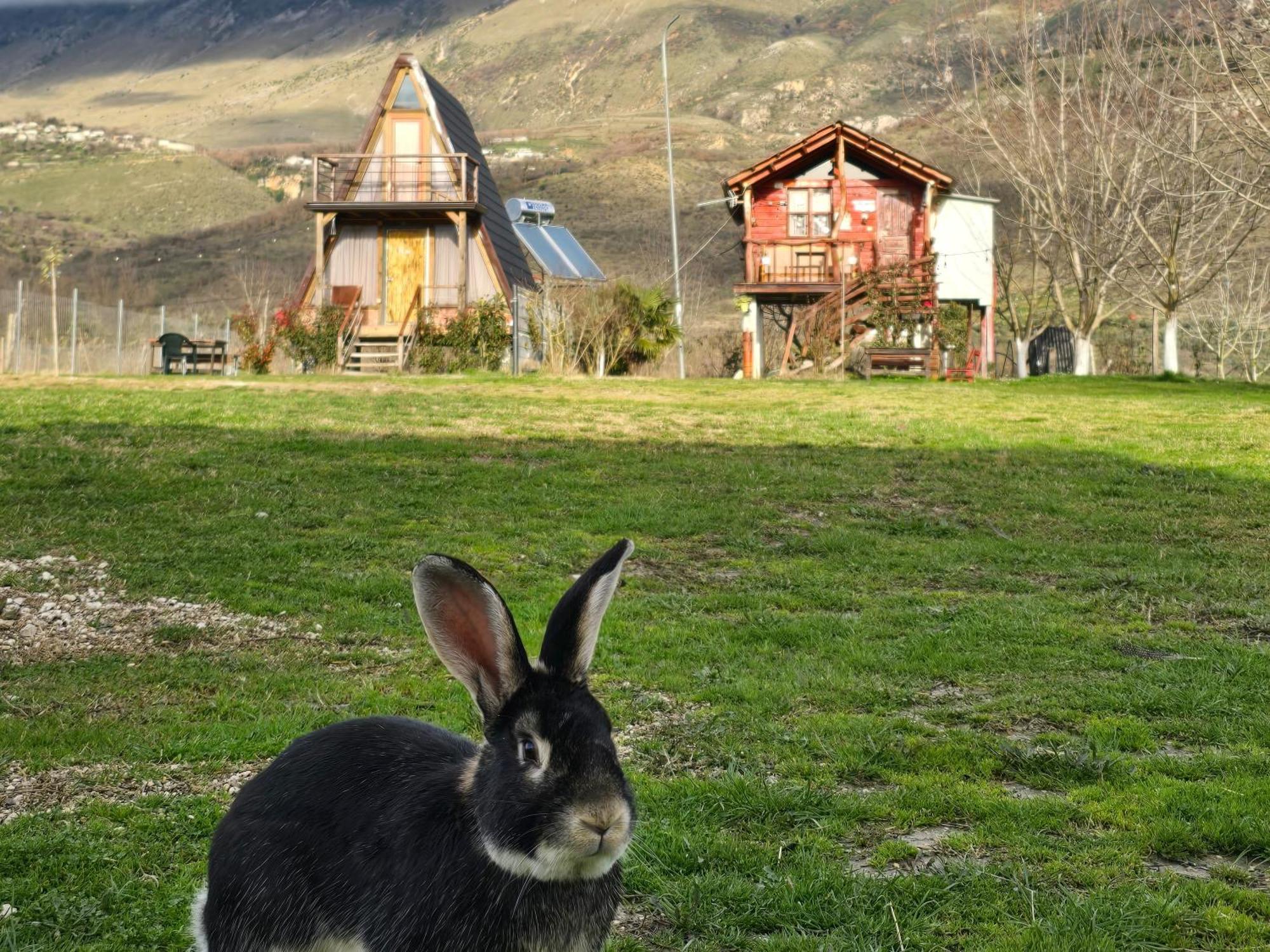Life On The Farm Hotell Nepravishte Exteriör bild